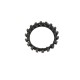 4HP20, 5HP19, 6HP19, 6HP21, 6HP26, 5R55W KINERGO SPRAG SGBW03 (BW-SP-4)