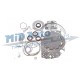62TE-OVERHAUL KIT+PISTON KIT-81001050/2610