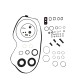 6HP19, 6HP21 BMW OVERHAUL KIT 81000742 / 2573