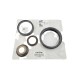 6T30E PISTON KIT 210670