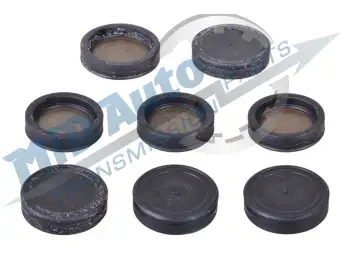 02E / DQ250 BONDED SHIFT RAIL PISTON KIT 81000588/973/S638