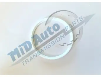 722.3,722.5-SEAL RING B1 FRONT SERVO