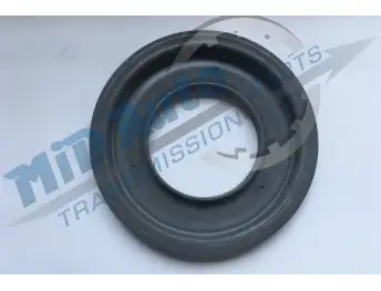 02E / DQ250-PISTON K2 109760