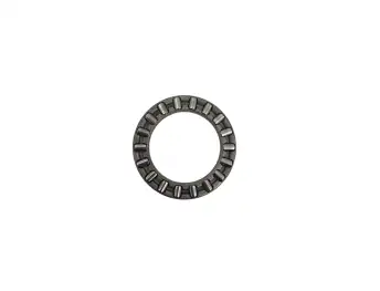 02E/DQ250-AXIAL NEEDLE CAGE-02E-DS-2