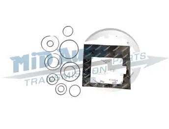 09D, TR60SN-SEALING RING-81000645/3542