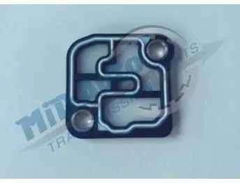 0B5 / DL501 SCREEN FILTER 0B55601 FOR 50228