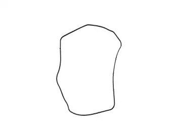 0AM / DQ200 GASKET TCM 49401984 / B34477