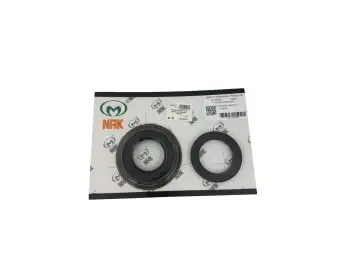 0B5 / DL501 PISTON KIT FOR 6-PLATE CLUTCH NAK TPSK055