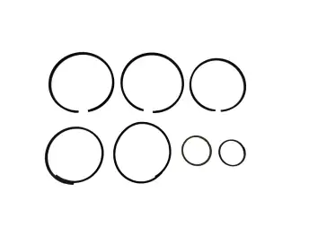 5HP19 AUDI, 5HP19 BMW SEALING RING KIT 81000750 / 3558