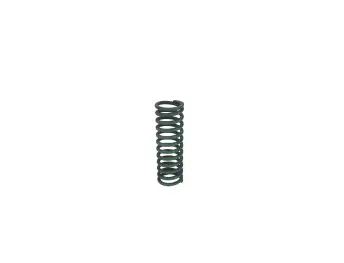 5L40E-SPRING57