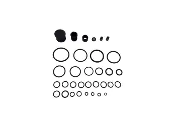 722.6 O-RINGS VALVE BODY 141605
