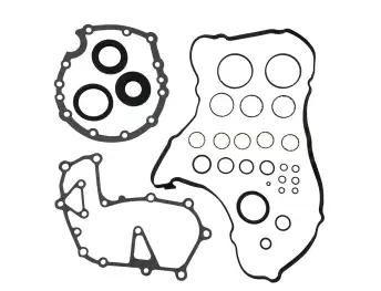 725.0 OVERHAUL KIT 225820A