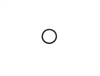 SONNAX-ZF-O-5V-O-RING