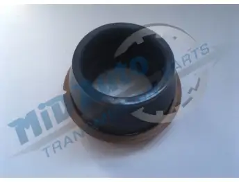 A500,A518-EXTENSION SEAL WITH BOOT-H39.1