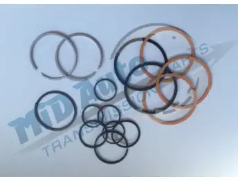 A500-SET SEAL RING-K12950NL