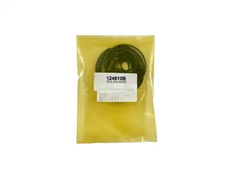 F5A51-SEALING RING KIT-124610B