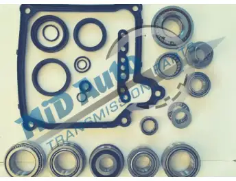 02E / DQ250 BEARING AND SEALING KIT 462 0146 10