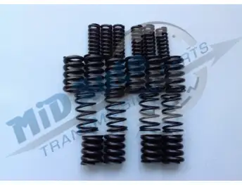 MPS6 / 6DCT450 DAMPENER SPRING 7099400S