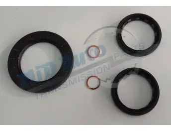DCS TRANSFER CASE-SEALING KIT-SP01204