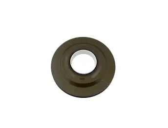 MPS6 / 6DCT450 FRONT COVER WITH SPRING NAK 66438