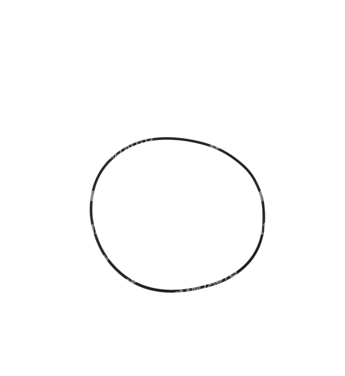 01J-O-RING DIFFERENTIAL