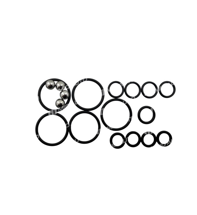 02E / DQ250 MECHATRONIC O-RING KIT