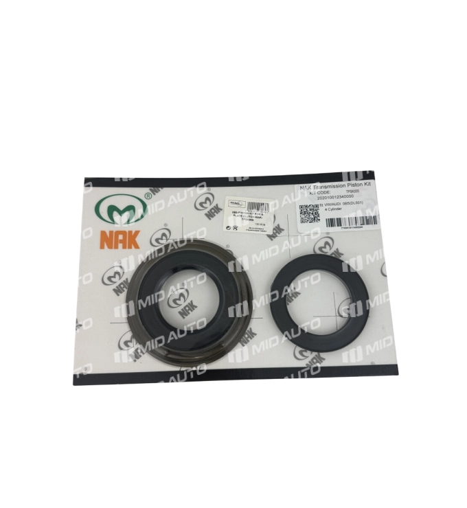 0B5 / DL501 PISTON KIT FOR 6-PLATE CLUTCH NAK TPSK055