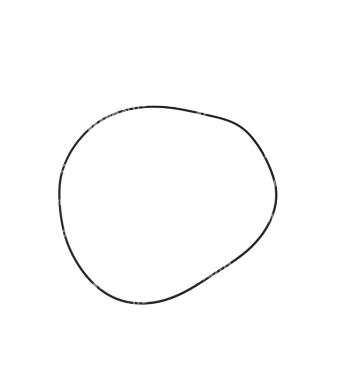 0B5 / DL501 O-RING FRONT COVER V