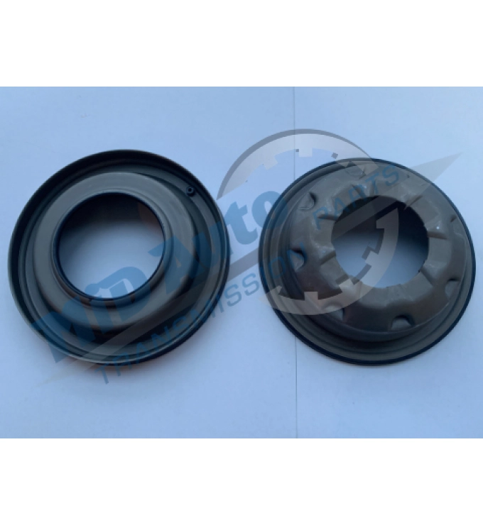 45RFE-OHK+PISTON KIT-81000160/2350
