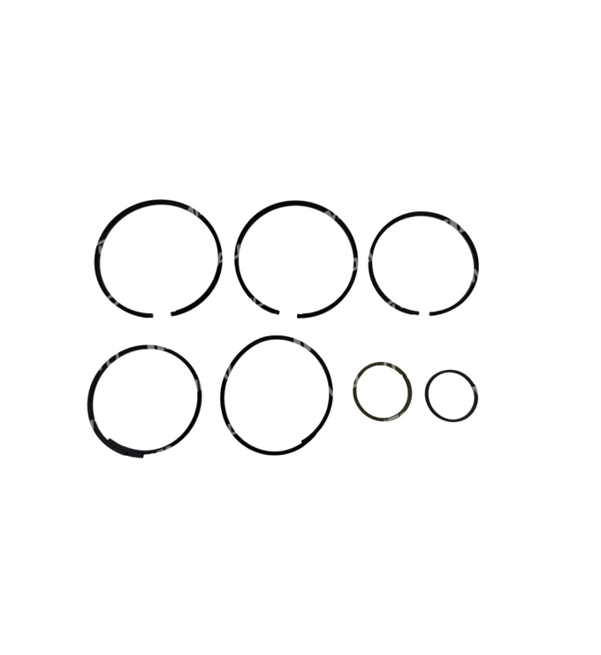 5HP19 AUDI, 5HP19 BMW SEALING RING KIT 81000750 / 3558