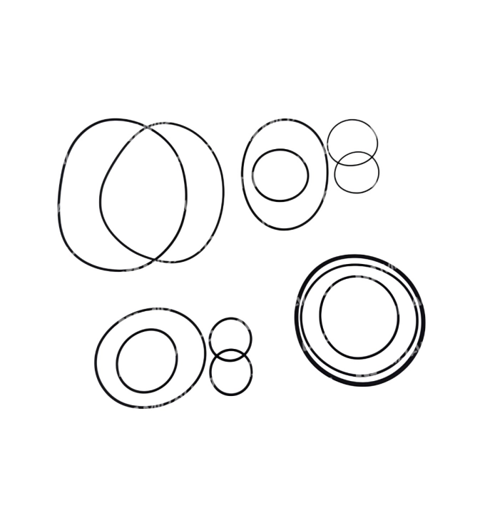 5HP24 AUDI OVERHAUL KIT 13202B