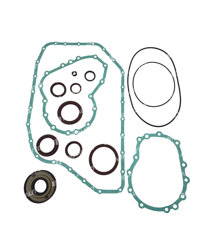 5HP24 AUDI OVERHAUL KIT 13202B
