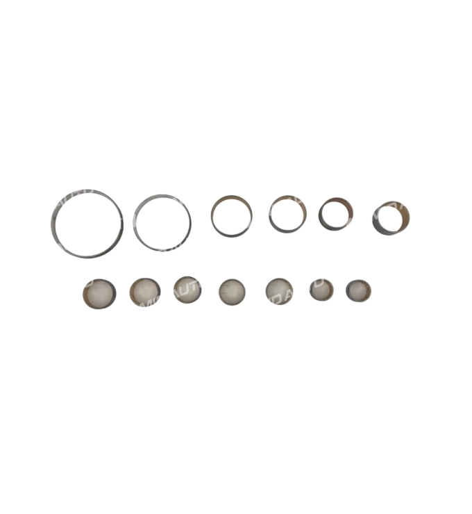 6HP19, 6HP21 BUSHING KIT B143500A