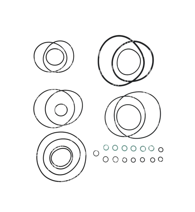 6HP19, 6HP21 BMW OVERHAUL KIT 81000742 / 2573