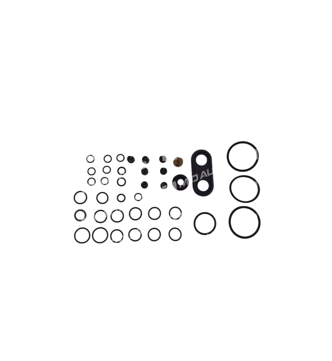 722.9 SET ORING VALVE BODY 189605