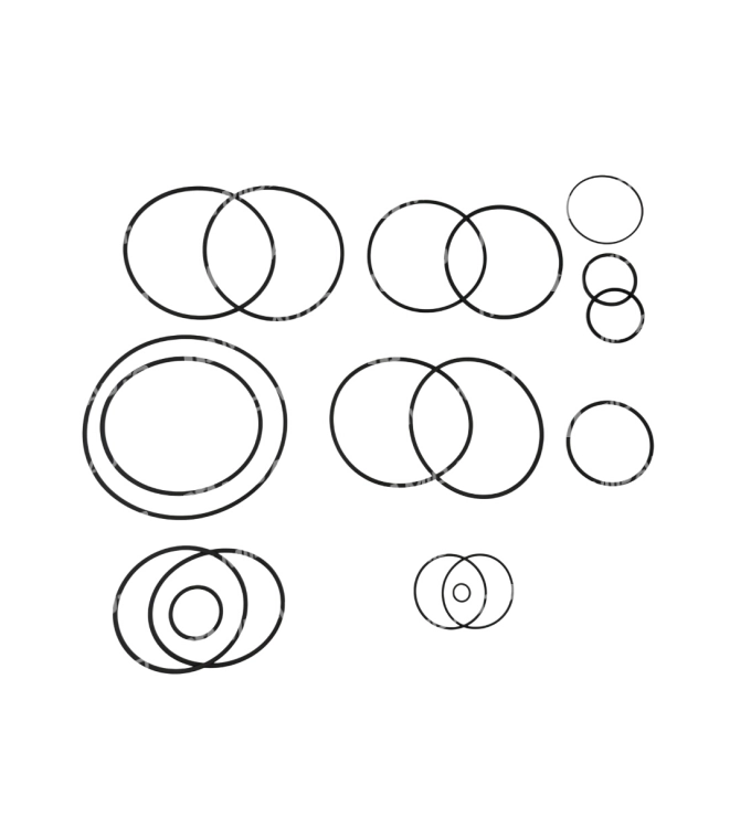 725.0 OVERHAUL KIT 225820A