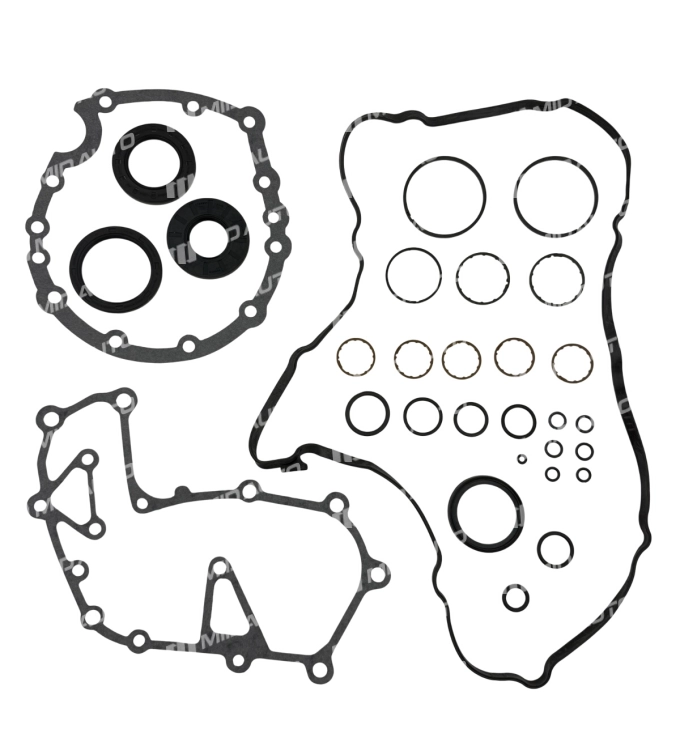 725.0 OVERHAUL KIT 225820A