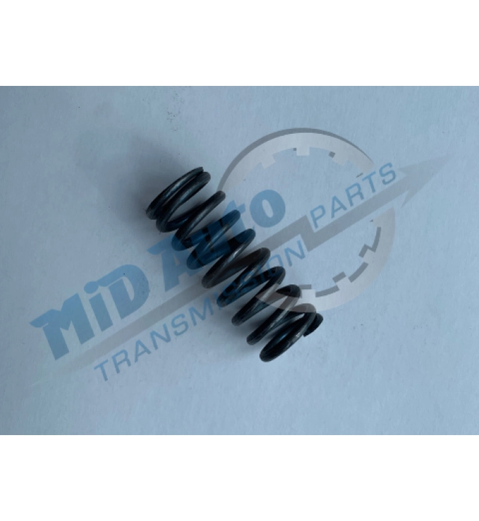A500-spring-12861-01