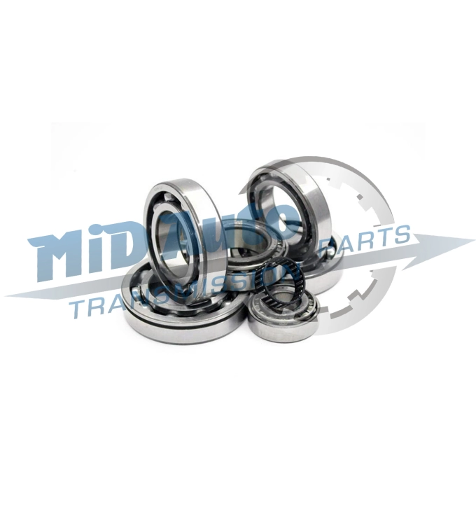 ATC300-BEARING KIT-SP00593