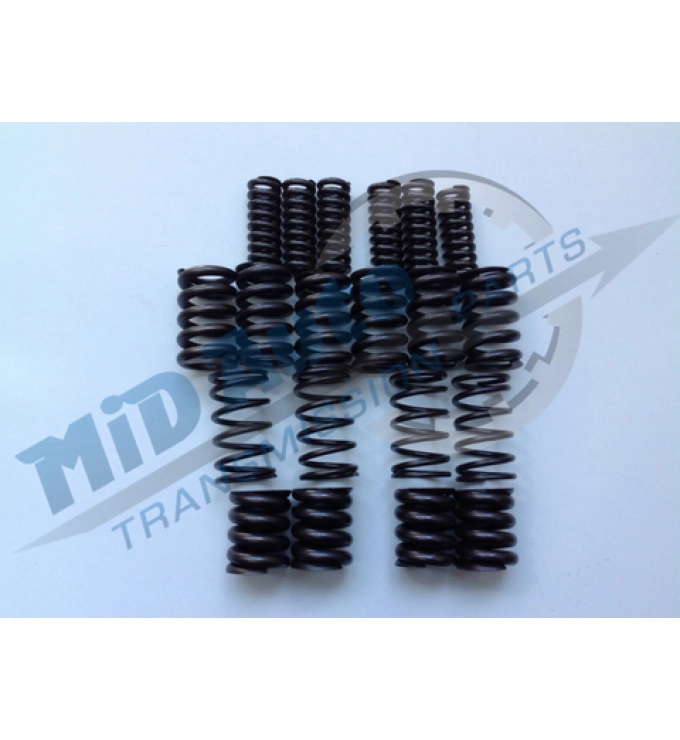 MPS6 / 6DCT450 DAMPENER SPRING 7099400S