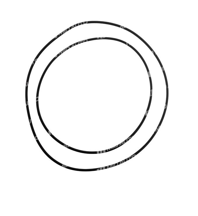 AWF8G45 O RING SET B2 BRAKE