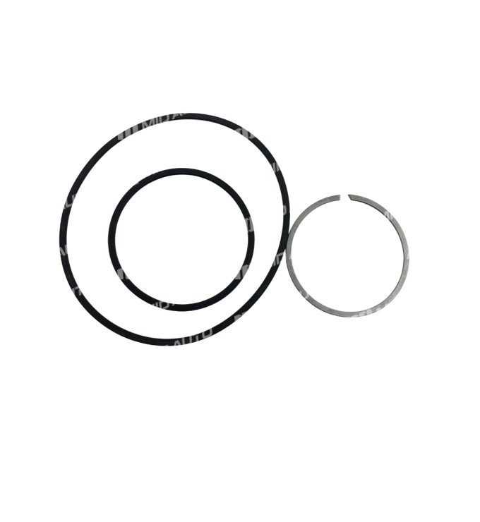 AWF8G45 SET D-RINGS AND SNAP RING C3 / C4 CLUTCH