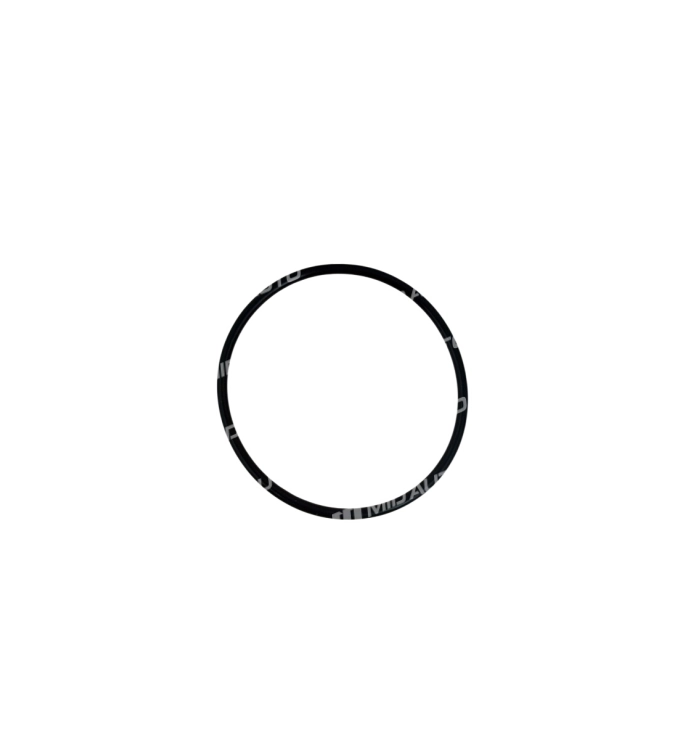 JF506E-SERVO SEALS-162606