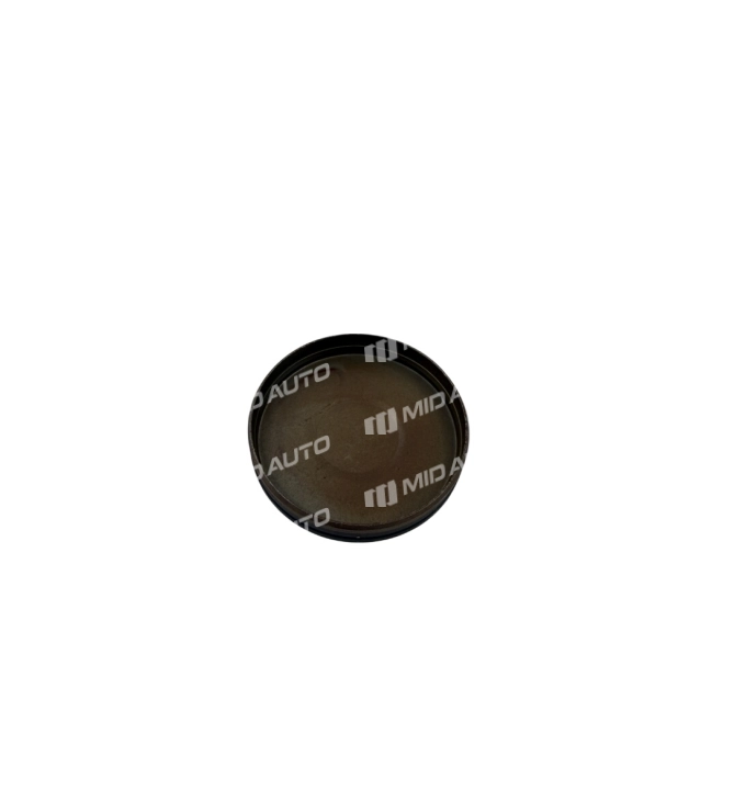 MPS6 / 6DCT450 DIFFERENTIAL SPIDER GEAR CAP NAK 24973