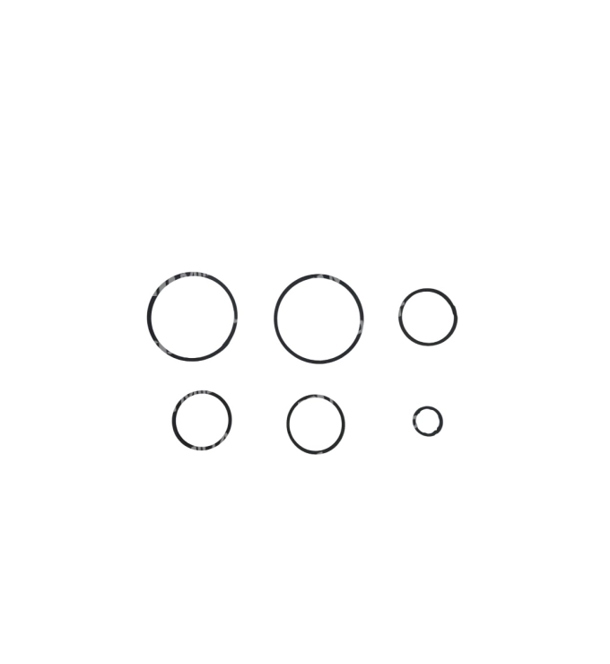 U660E-SEALING RING KIT-81000611/3539